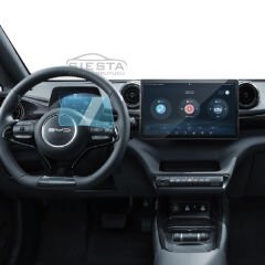 DOLPHIN - KADRAN - EKRAN KORUYUCU